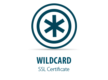 Smart Panda - Wildcard