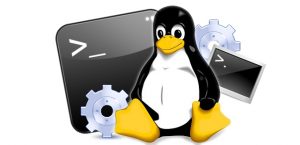 Smart Panda - Linux Console
