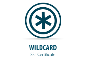 Smart Panda - Wildcard
